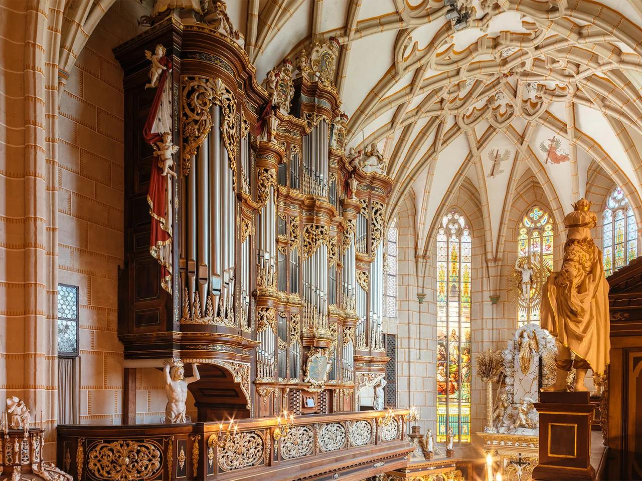 Altenburger Schlosskirche mit Trost-Orgel, Foto_Marcus Glahn_Schatzkammer Thüringen